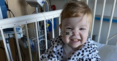 Scots tot, 2, has life-saving transplant op during lockdown after gran donates kidney - www.dailyrecord.co.uk - Scotland