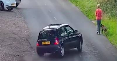 Dog walker mown down and left for dead in shocking video as pooch dies at roadside - www.dailyrecord.co.uk