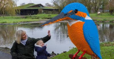 Giant Lego animals unveiled in wild adventure trail at Martin Mere - www.manchestereveningnews.co.uk - Manchester
