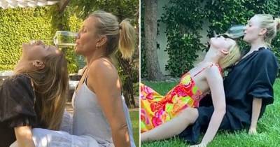 Cameron Diaz, the Fanning Sisters and More Stars Try the Viral TikTok Wine Challenge - www.usmagazine.com