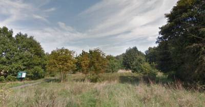 Campaign launched to stop United Utilities cutting down 17 trees at Three Sisters nature reserve in Ellesmere Park - www.manchestereveningnews.co.uk