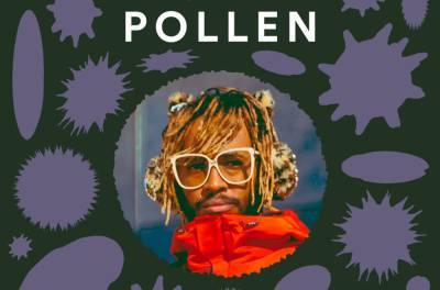 Inside Pollen, the Mysterious Hit Spotify Playlist Where No Rules Apply - www.billboard.com