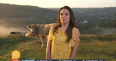 Good Morning Britain’s Laura Tobin terrified as she's almost attacked by cow during weather report: ‘I've never been so scared’ - www.ok.co.uk - Britain
