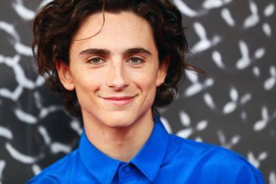 Timothée Chalamet Teases His Role As Bob Dylan While Making Return To Twitter - etcanada.com - Mexico - county Love