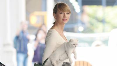International Cat Day: See Taylor Swift More Stars Cuddling Their Kitties - hollywoodlife.com - Egypt