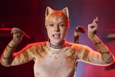 Hollywood Celebrates International Cat Day With Online Salutes - deadline.com - USA