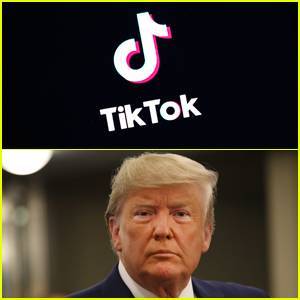 TikTok is Planning to Sue Trump Administration Over Ban (Report) - www.justjared.com - USA - California
