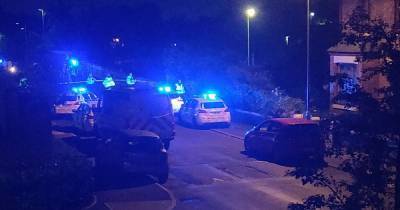Police shut off bridge over M602 after woman falls from it - she wasn't seriously hurt - www.manchestereveningnews.co.uk - Manchester