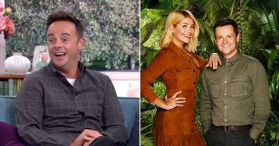 Ant McPartlin admits he never asked Holly Willoughby about her I'm a Celebrity stint - www.msn.com