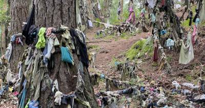 Filthy tourists leave underwear and face masks hanging from trees at ancient Scots beauty spot - www.dailyrecord.co.uk - Scotland - county Ross