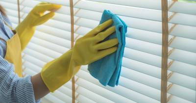 Mrs Hinch fan shares easy hack to clean blinds involving a product made for your face - www.ok.co.uk