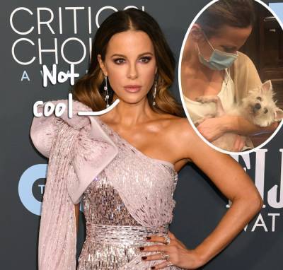 Kate Beckinsale Responds To Getting TROLLED While Mourning Death Of Her Beloved Dog - perezhilton.com