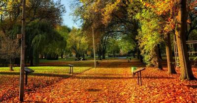 The best places to see autumn leaves change colour around Greater Manchester - www.manchestereveningnews.co.uk - Manchester - India