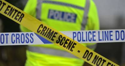 Police hunt three attackers who seriously assaulted victim in Burnbank - www.dailyrecord.co.uk