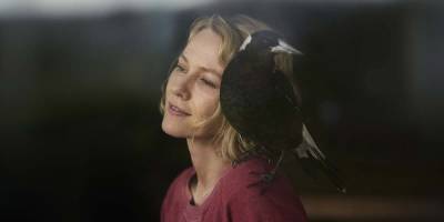 Naomi Watts And Andrew Lincoln Talk The Scene-Stealing Magpies In Their TIFF Drama ‘Penguin Bloom’ - etcanada.com - Thailand