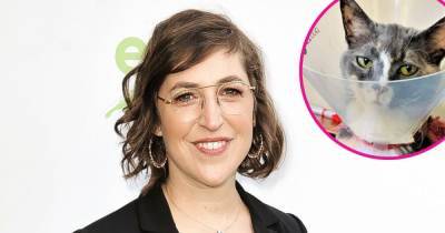 Mayim Bialik’s Cats Are ‘Living Their Best Life’ While in Quarantine - www.usmagazine.com