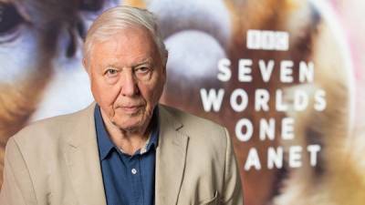 Sir David Attenborough wins an Emmy for work on Seven Worlds, One Planet - www.breakingnews.ie - USA