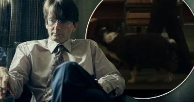 Des viewers creeped out by chilling ITV drama - but want to know what happened to Dennis Nilsen's dog Bleep - www.manchestereveningnews.co.uk - Britain