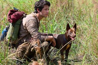 ‘Love and Monsters’ Trailer: Dylan O’Brien Embraces the Apocalypse for a Girl (Video) - thewrap.com