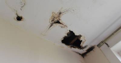 Glasgow mum left miserable after roof leak in her home lasts for several months - www.dailyrecord.co.uk