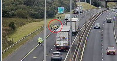 Cops launch alleged hit and run investigation following M9 collision - www.dailyrecord.co.uk - Scotland