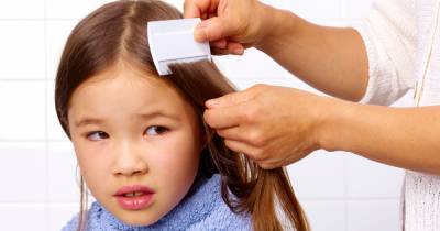 Mum's simple hairspray hack that she says will stop your child ever getting head lice - www.dailyrecord.co.uk