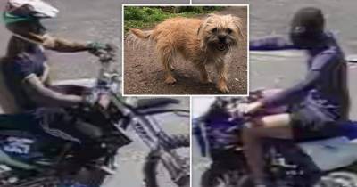 Off-road biker hits and kills dog - police have released CCTV images of two riders they want to speak to - www.manchestereveningnews.co.uk