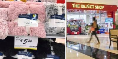 Shoppers race to The Reject Shop to snap up $3 items in home decor sale - www.lifestyle.com.au