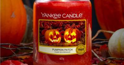 Yankee Candle launches Pumpkin Patch Halloween scent - but only for a limited-time - www.dailyrecord.co.uk - Scotland