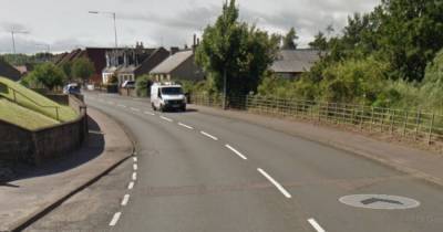 Dog killed and owner injured after they were hit by car on busy Fife road - www.dailyrecord.co.uk