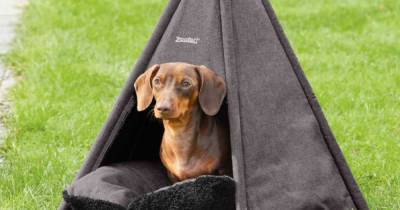 Lidl are selling an adorable teepee for your dog and it only costs £12.99 - www.ok.co.uk