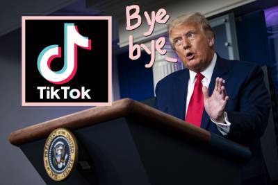 Trump BANNED TikTok! Just HOURS Left To Enjoy?? - perezhilton.com - China - USA