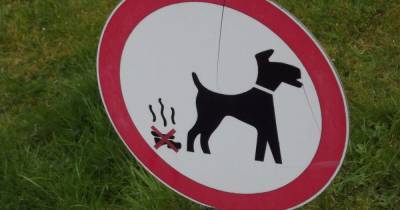 Wiganers support plans for tougher fines for leaving dog mess on public land - www.manchestereveningnews.co.uk