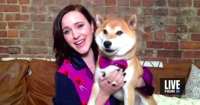 Rachel Brosnahan and More Celebs Whose Pets Crashed Their Emmys 2020 Video Chats - www.usmagazine.com - Wisconsin
