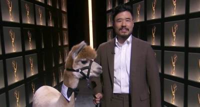 Randall Park Takes Emmy Awards 2020 Stage with an Alpaca! - www.justjared.com
