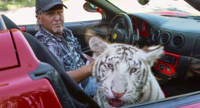 ‘Tiger King’, ‘American Factory’ Among Grierson British Documentary Award Nominees - deadline.com - Britain - USA