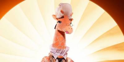 Who Is the Giraffe on 'The Masked Singer' Season 4? - www.cosmopolitan.com
