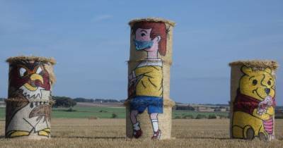 Angus artist creates incredible bale art in attempt to brighten people's day - www.dailyrecord.co.uk