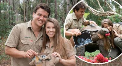 Bindi Irwin and Chandler Powell reveal their baby's gender! - www.newidea.com.au