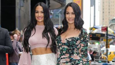 Nikki Bella ‘Leaning On’ Sister Brie Amid New Motherhood While Artem Chigvintsev’s Filming ‘DWTS’ - hollywoodlife.com