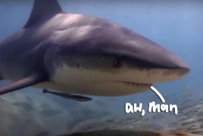 Pregnant Woman Jumps In Ocean To Save Husband From Attacking Shark! - perezhilton.com - Atlanta - Florida - county Monroe - county Ocean