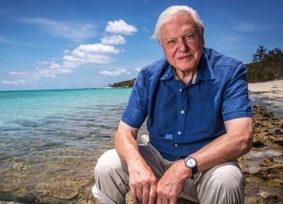 David Attenborough joins Instagram at 94 to warn the world is in trouble - evoke.ie