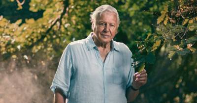 Sir David Attenborough joins Instagram - and already has 1.4m followers - www.manchestereveningnews.co.uk