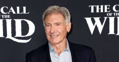 FAA clears Harrison Ford after second runway hiccup - www.wonderwall.com - California - county Harrison - county Ford