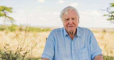 Sir David Attenborough joins Instagram at the age of 94 and gathers almost 3 million followers in one day - www.dailyrecord.co.uk