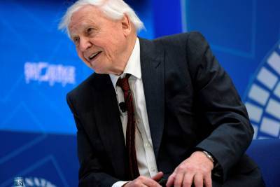 Sir David Attenborough becomes fastest to reach 1M Instagram followers - nypost.com - Britain