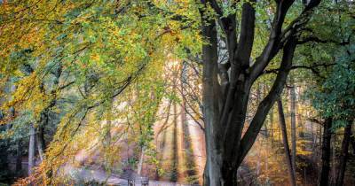 18 of the best places to go for an autumn walk in and around Greater Manchester - www.manchestereveningnews.co.uk - Manchester