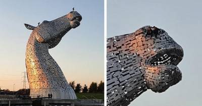 'Daredevils' charged by police after allegedly scaling 100ft Kelpie statue near Falkirk - www.dailyrecord.co.uk - Scotland