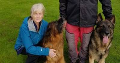 Dog groomer launches bid to 'clear her name' after being wrongly accused of abusing animals - www.dailyrecord.co.uk - Scotland