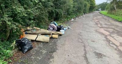 Bonhill volunteer collects more than 50 bags of rubbish from Loch Lomond - www.dailyrecord.co.uk